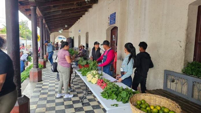 El Ministerio de Agricultura por medio de extensionistas se encarga del apoyo a agricultores. Foto: MAGA