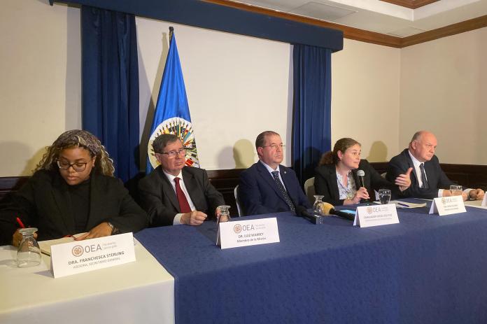 Observadores de la OEA en conferencia de prensa