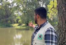 Ubican un cocodrilo