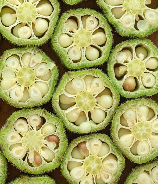 Okra semillas