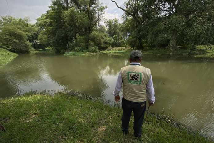 Los miembros del Conap, hasta el momento, han avistado un ejemplar. Foto: José Orozco