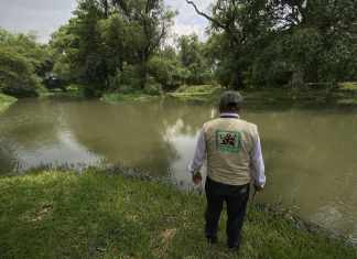 Los miembros del Conap, hasta el momento, han avistado un ejemplar. Foto: José Orozco