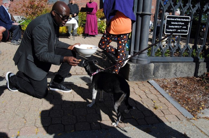 El reverendo Jean Beniste, un inmigrante haitiano, da un premio a un perro durante el evento Bendición de Animales realizado en el jardín de la Iglesia Episcopal St. Paul, en Concord, Nueva Hampshire. (G. Jeffrey MacDonald vía AP)