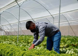 Proyecto CAMPO. Foto: Alimentando el Futuro