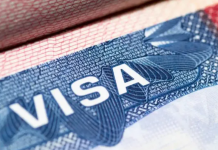 Lotería de visas