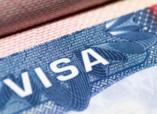Lotería de visas