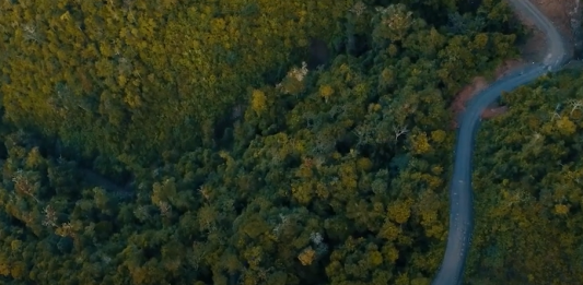Finca La Perla