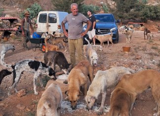 En esta fotografía proporcionada por Mashala Shelte en 2024, Hussein Hamza alimenta a perros en su refugio para animales en Kfour, en el sur del Líbano. (Mashala Shelter vía AP)