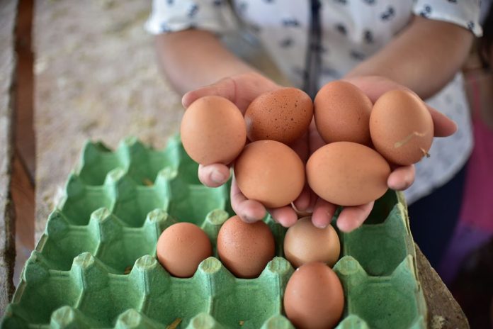 MAGA pide a comerciantes tener licencia para manipulación de huevos.