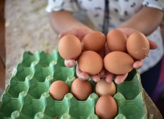 MAGA pide a comerciantes tener licencia para manipulación de huevos.