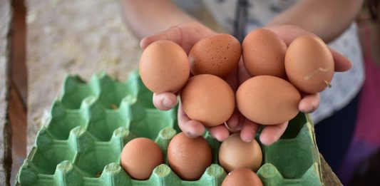 MAGA pide a comerciantes tener licencia para manipulación de huevos.