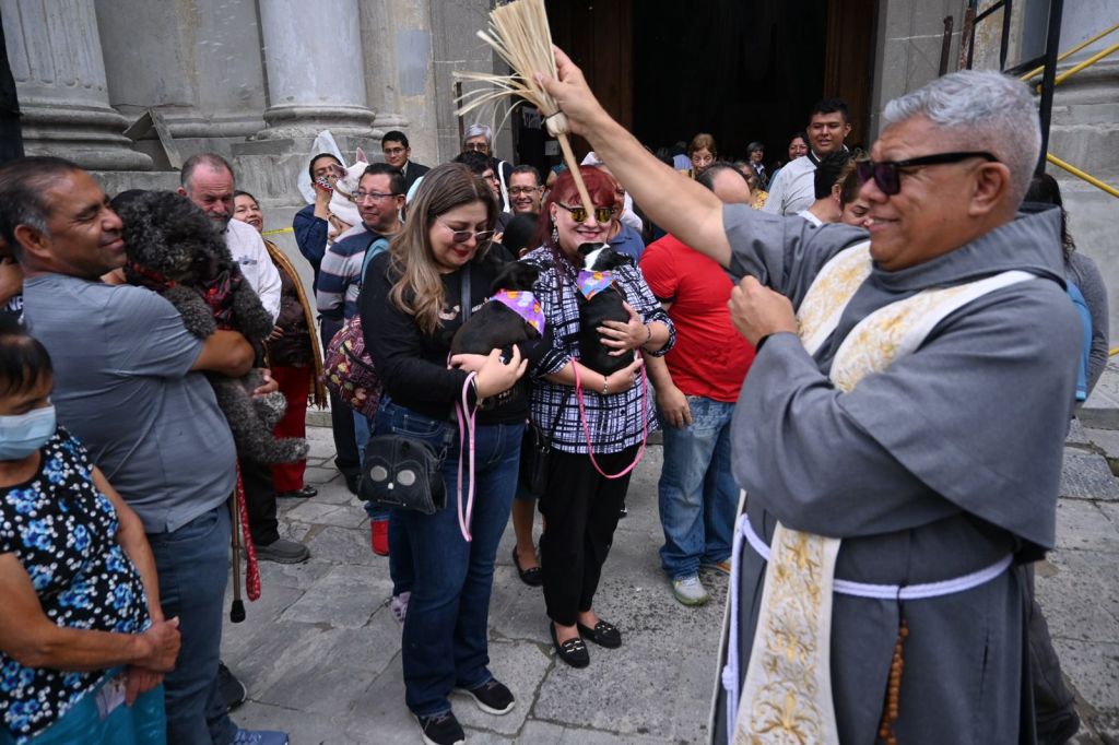 Mascotas Día de San Francisco de Asís 5