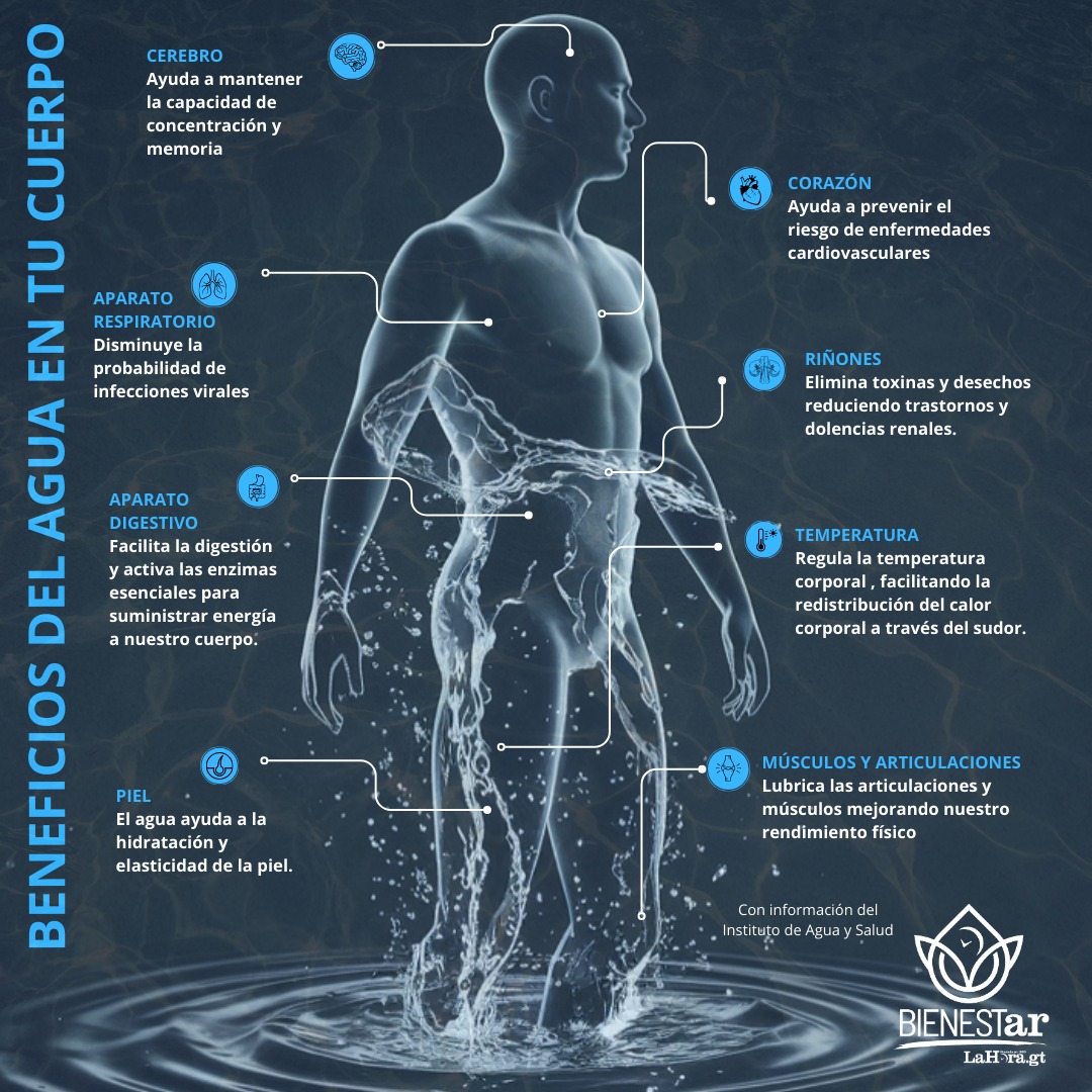 Beneficios del Agua en el cuerpo 