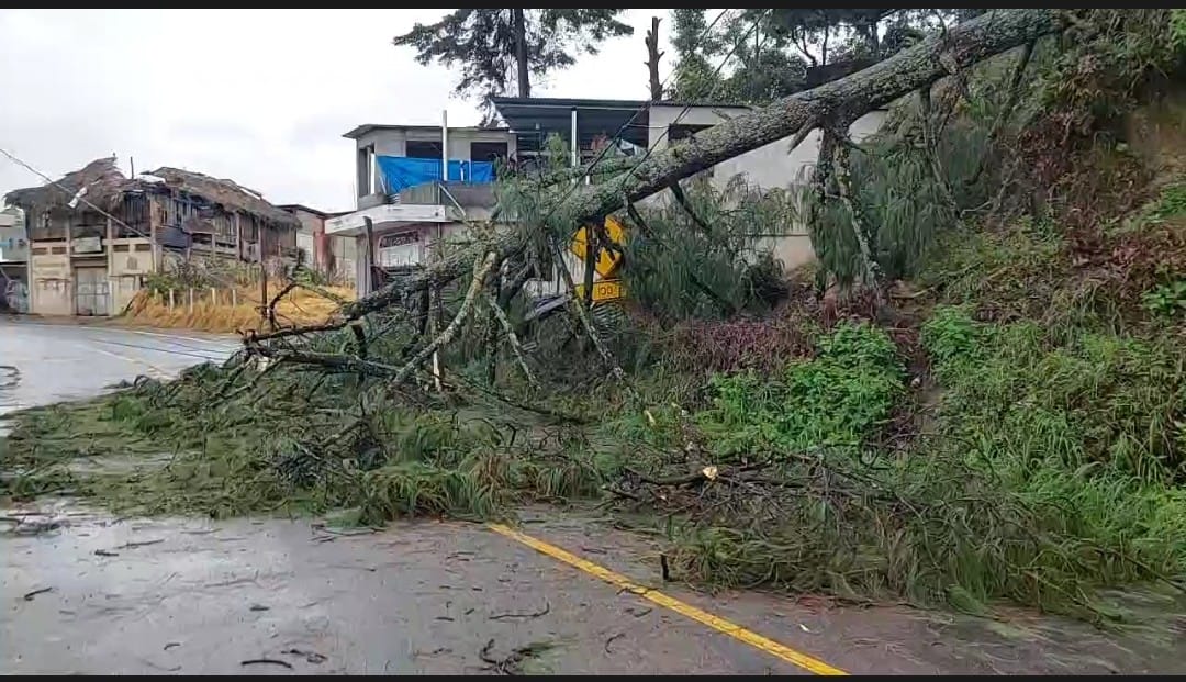 Lluvias provocaron deslizamiento de tierra en varios sectores. Foto La Hora: CONRED