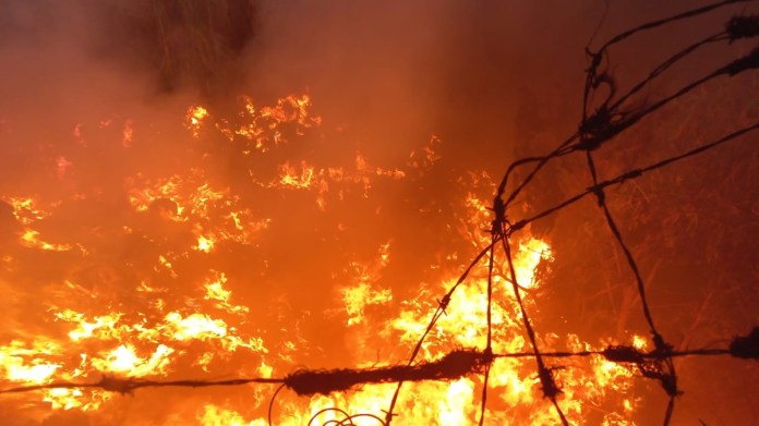 ¡Fuego en el vertedero! Incendio sacude el vertedero de AMSA por segunda ocasión