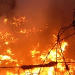 ¡Fuego en el vertedero! Incendio sacude el vertedero de AMSA por segunda ocasión