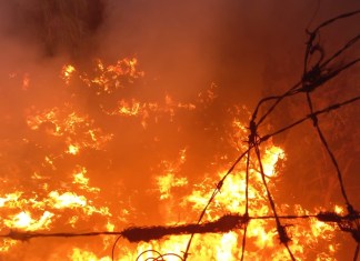 ¡Fuego en el vertedero! Incendio sacude el vertedero de AMSA por segunda ocasión