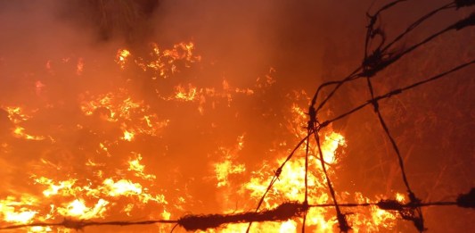 ¡Fuego en el vertedero! Incendio sacude el vertedero de AMSA por segunda ocasión