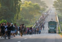 Migrantes caminan por una carretera en Huixtla, en el sur de México, en dirección a la frontera norte del país y, en última instancia, a Estados Unidos, el 7 de noviembre de 2024. (AP Foto/Moisés Castillo)