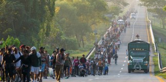 Migrantes caminan por una carretera en Huixtla, en el sur de México, en dirección a la frontera norte del país y, en última instancia, a Estados Unidos, el 7 de noviembre de 2024. (AP Foto/Moisés Castillo)