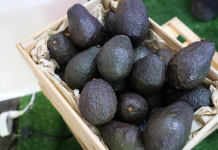 aguacate