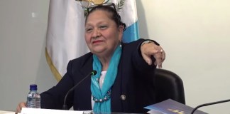 Captura de pantalla Consuelo Porras en reunión
