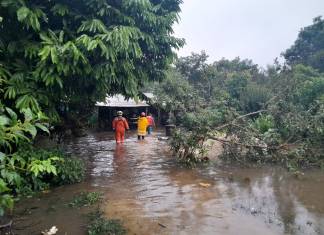 Conred atiende más de 100 emergencias tras el paso de la tormenta tropical "Sara"