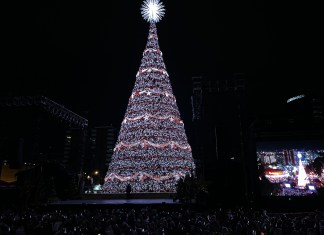 Miles de guatemaltecos estuvieron presentes en la inauguración del Árbol Gallo. Foto La Hora: José Orozco.