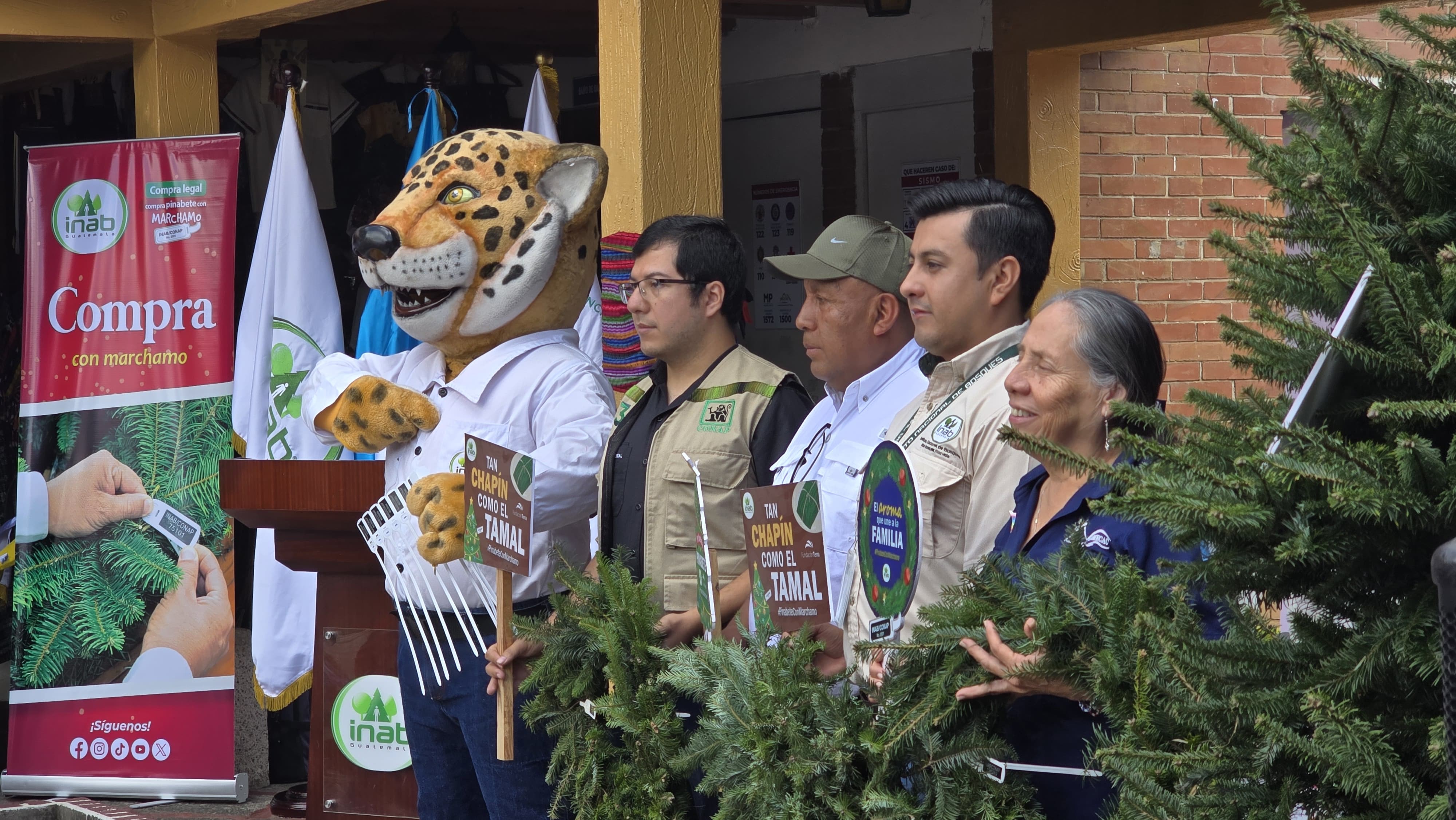 INAB inaugura ferias del Pinabete por temporada navideña 2