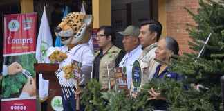 Inauguran ferias del Pinabete por temporada navideña 2024