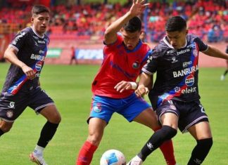 Los Cuartos de Final de la Liga Nacional de Guatemala prometen emocionantes duelos por el campeonato. Foto La Hora: Liga Nacional de Futbol