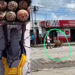 Medios de localidad informaron que PMT de Ayutla impuso un cepo a un vendedor de piñas. Foto: RRSS.