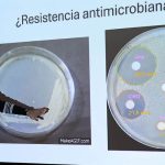 MAGA hace un llamado a actuar contra las superbacterias en Guatemala
