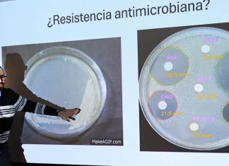 MAGA hace un llamado a actuar contra las superbacterias en Guatemala