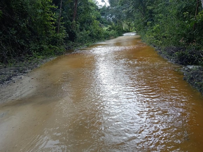 Cierre temporal del Parque Nacional Yaxhá por carreteras dañadas.