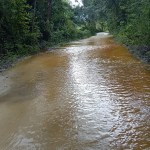 Cierre temporal del Parque Nacional Yaxhá por carreteras dañadas.