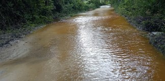 Cierre temporal del Parque Nacional Yaxhá por carreteras dañadas.