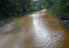 Cierre temporal del Parque Nacional Yaxhá por carreteras dañadas.