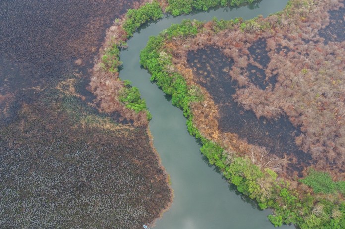 Informe sobre áreas afectadas por incendios forestales