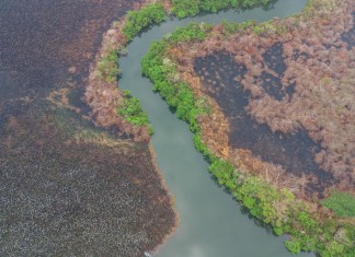 Informe sobre áreas afectadas por incendios forestales