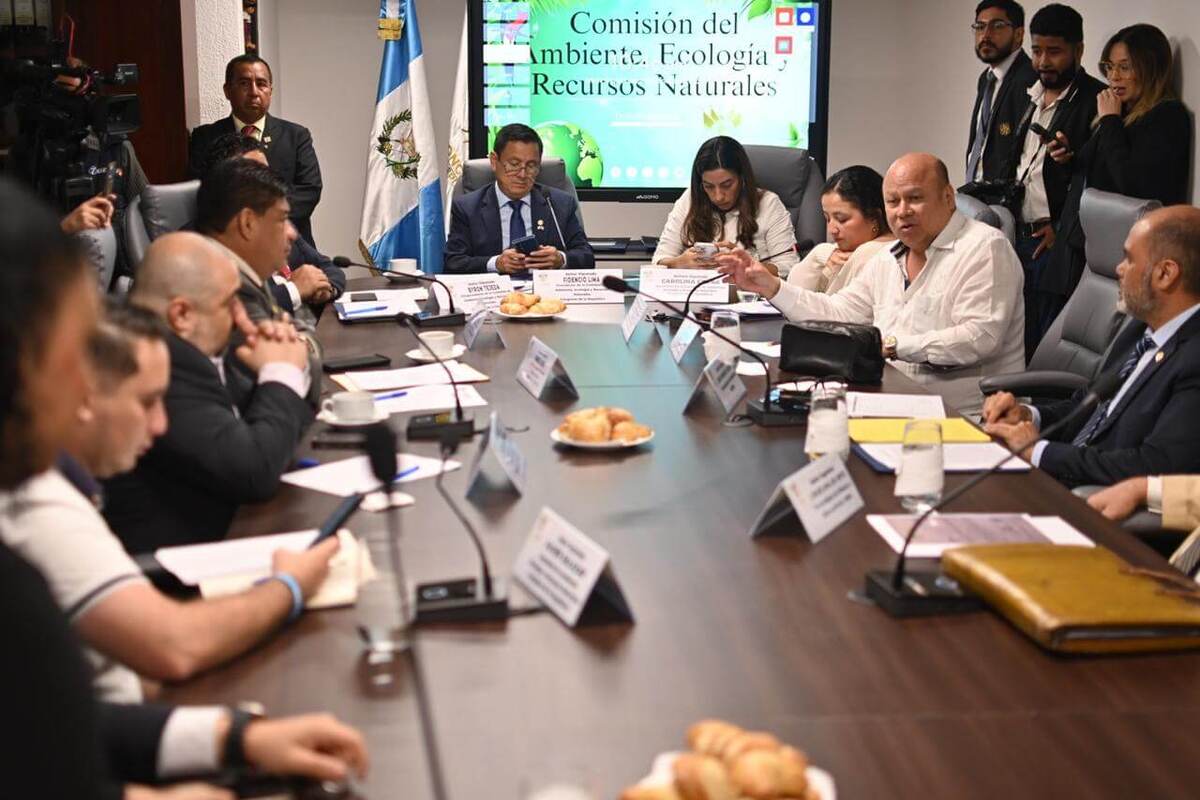 Diputados consultan por la finalización del contrato con Perenco. Foto La Hora: Fabricio Alonzo