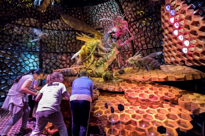 Llega a Miami una exhibición cinemática e enmersiva que revela el mundo de los Insectos