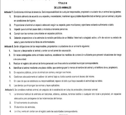 En el Diario de Centro América (DCA) fue publicado este lunes 25 de noviembre el Reglamento Municipal de Protección y Bienestar Animal de la Municipalidad de Antigua Guatemala, Sacatepéquez, que faculta a la Sección de Bienestar Animal, el Centro de Bienestar Animal y Juez de Asuntos Municipales a abogar, proteger a los animales y sancionar en caso de que sufran algún maltrato.