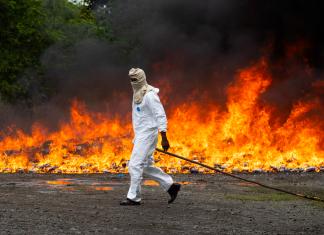 Un integrante de las autoridades dominicanas camina frente a paquetes de cocaína que son incinerados, este lunes en Pedro Brand (República Dominicana). EFE/Orlando Barría