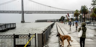 El agua de la bahía de San Francisco invade el Embarcadero en San Francisco, el sábado 14 de diciembree de 2024, debido a la marea alta y olas empujadas por la tormenta Foto La Hora: AP