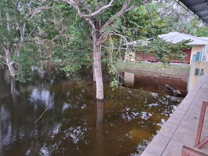 Conap parque nacional Yaxha Nakum