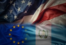 Intromisión extranjera