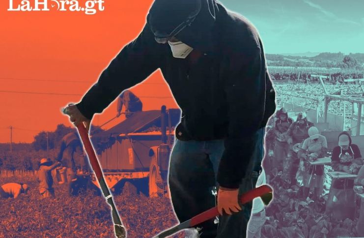 Siguen al alza: Remesas familiares vuelven a batir récord