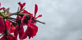 Lluvias y bajas temperaturas se prevén para las próximas horas. Foto La Hora: Sergio Osegueda