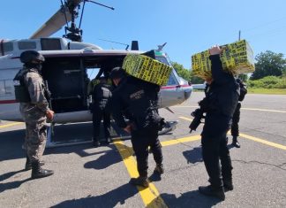 Elementos de la Marina de la Defensa Nacional, en conjunto con Agentees de la PNC y el MP informaron acerca de la captura del responsable de trasladar los 455 paquetes de cocaína incautados este 18 de diciembre.